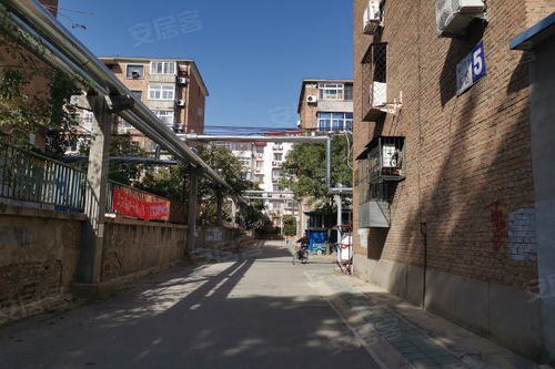 南廠住宅東區(qū)居住體驗全解析 優(yōu)缺點、現(xiàn)狀與周邊中介評價